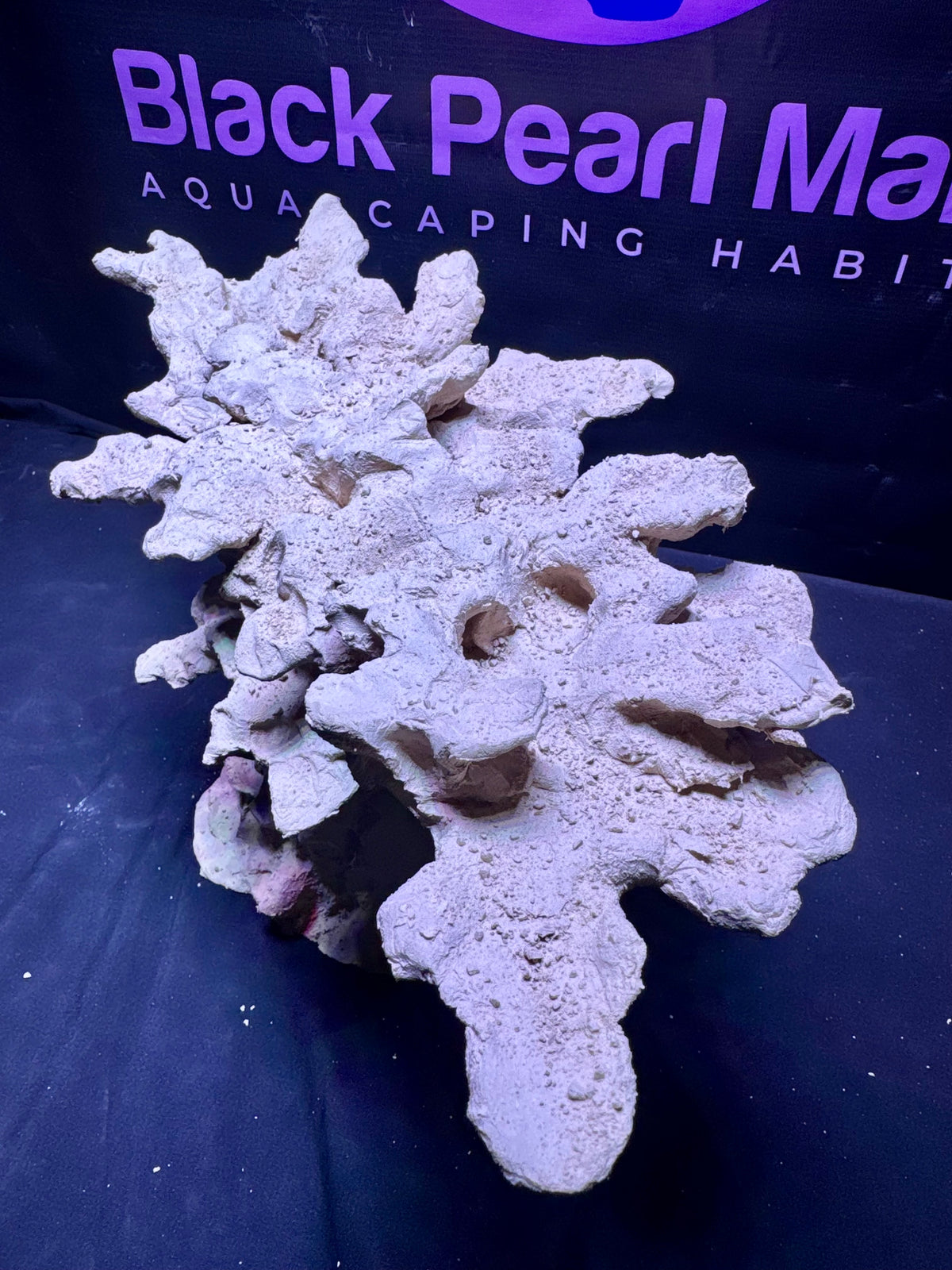 BPM Scape | Nano | #571029 | 40 × 22 × 23 cm