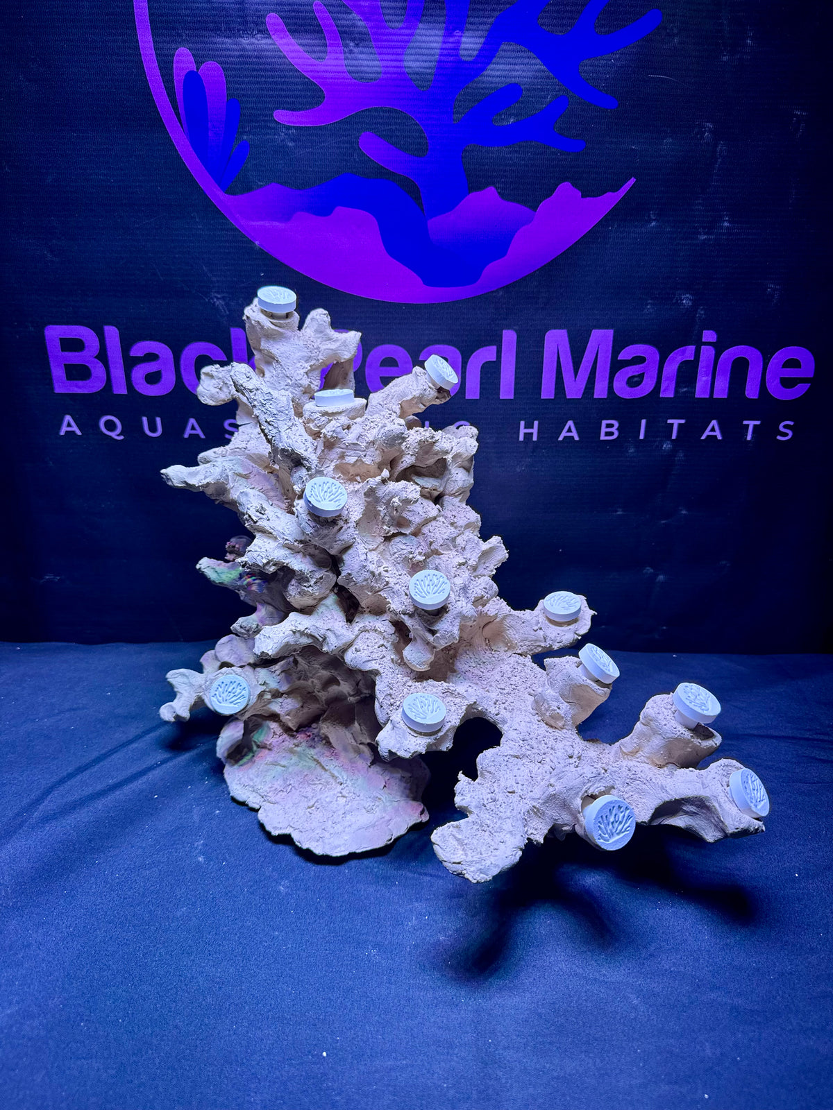 BPM Scape | Nano | #835392 | 38 × 28 × 23 cm
