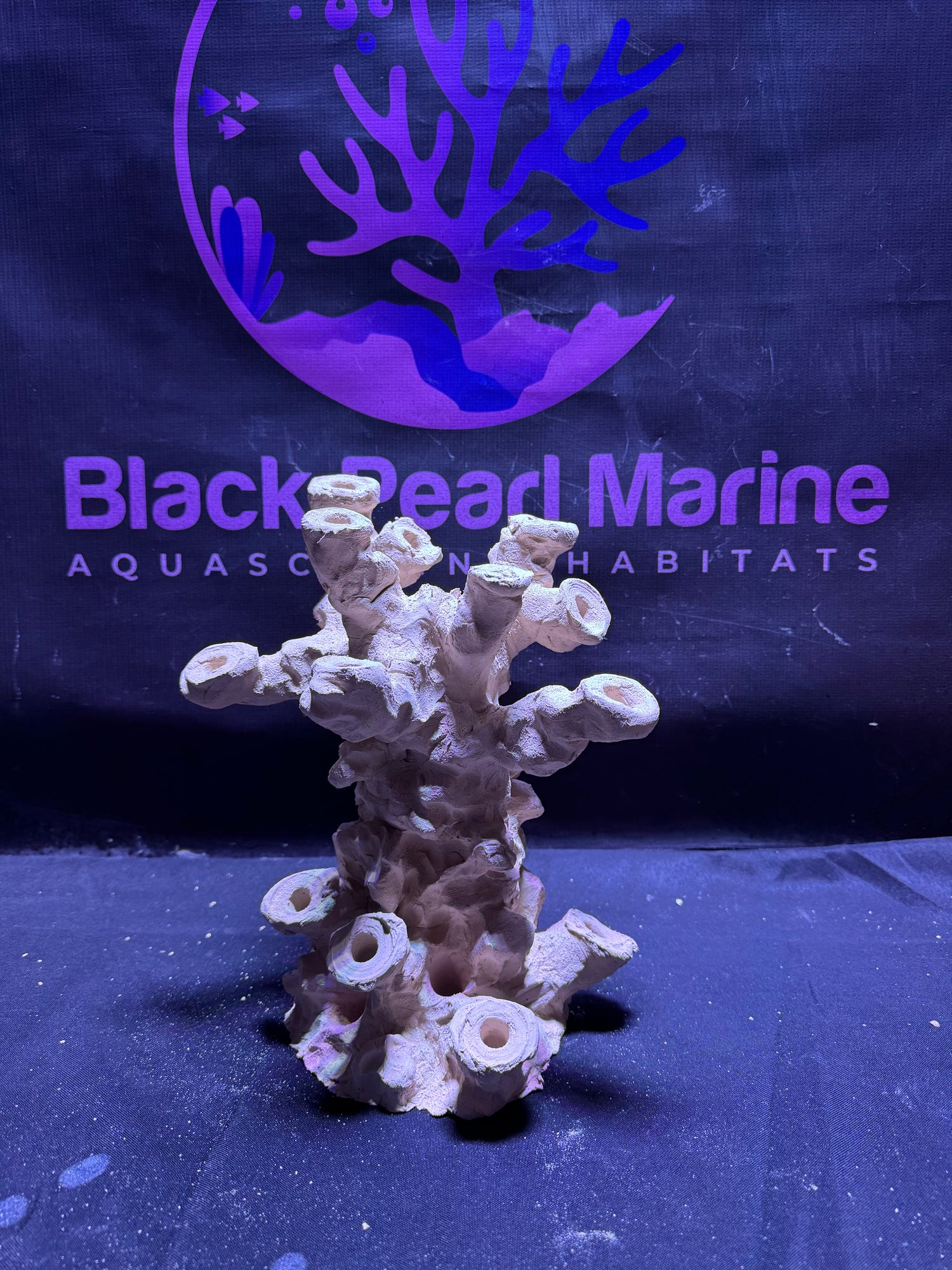 BPM Scape |Frag Pillar (060226) (L26cm/H28cm/D22cm)