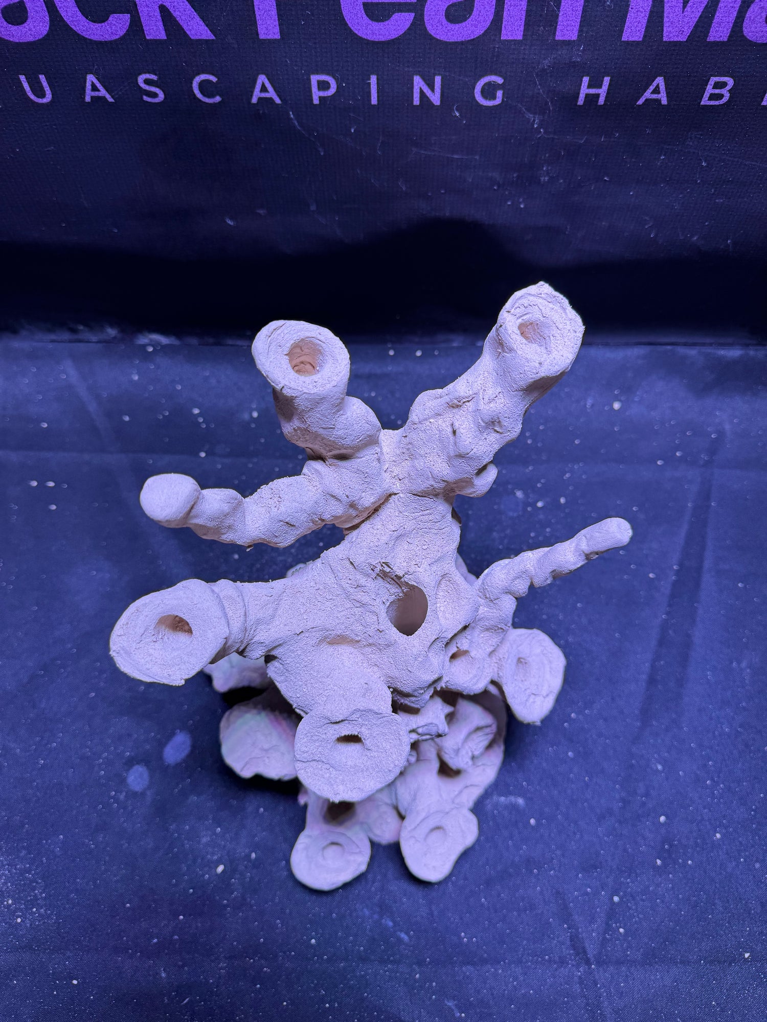 BPM Scape |Frag Stump (090226) (L22cm/H25cm/D23cm)