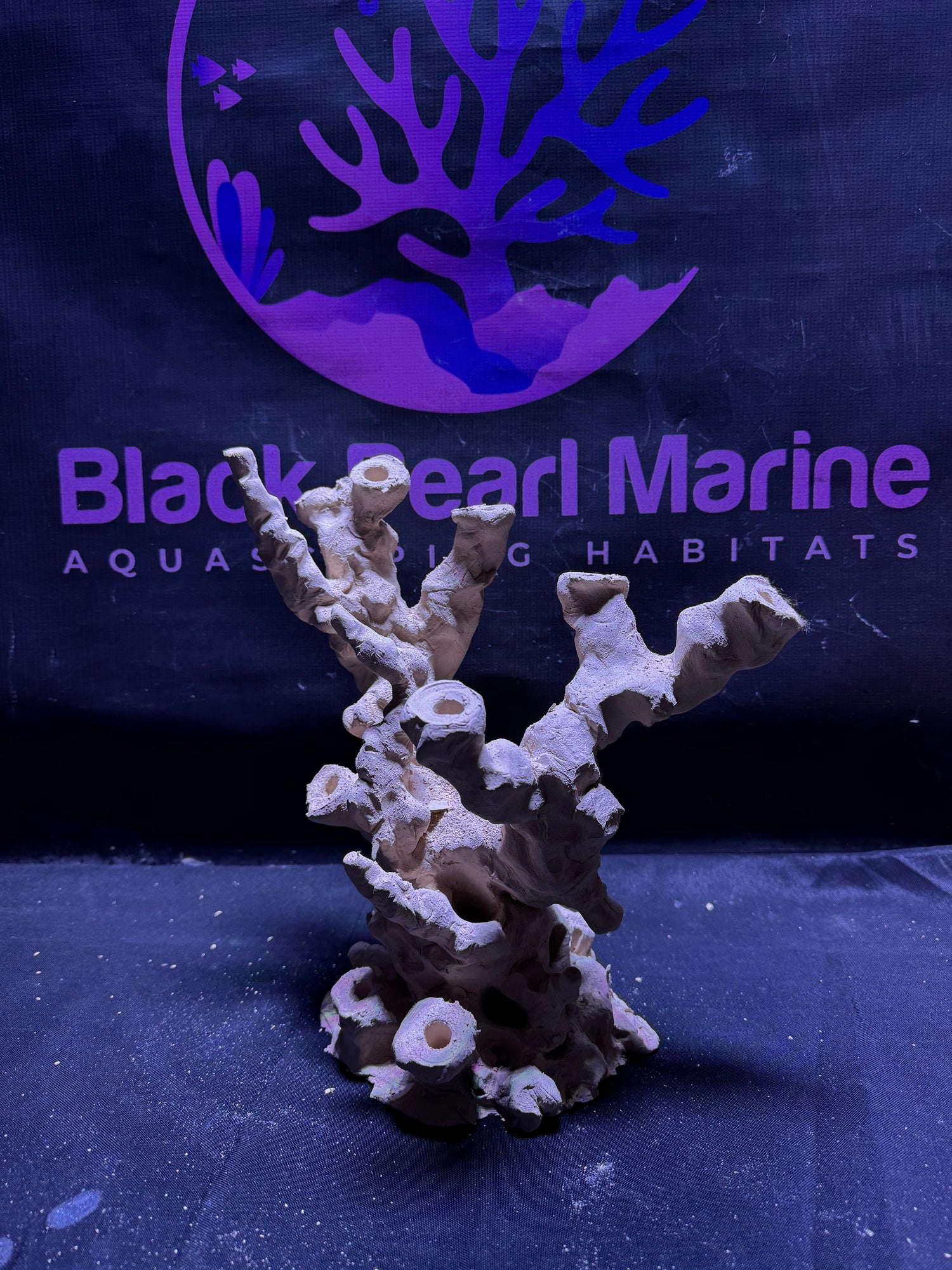 BPM Scape |Frag Pillar (050226) (L28cm/H28cm/D17cm)