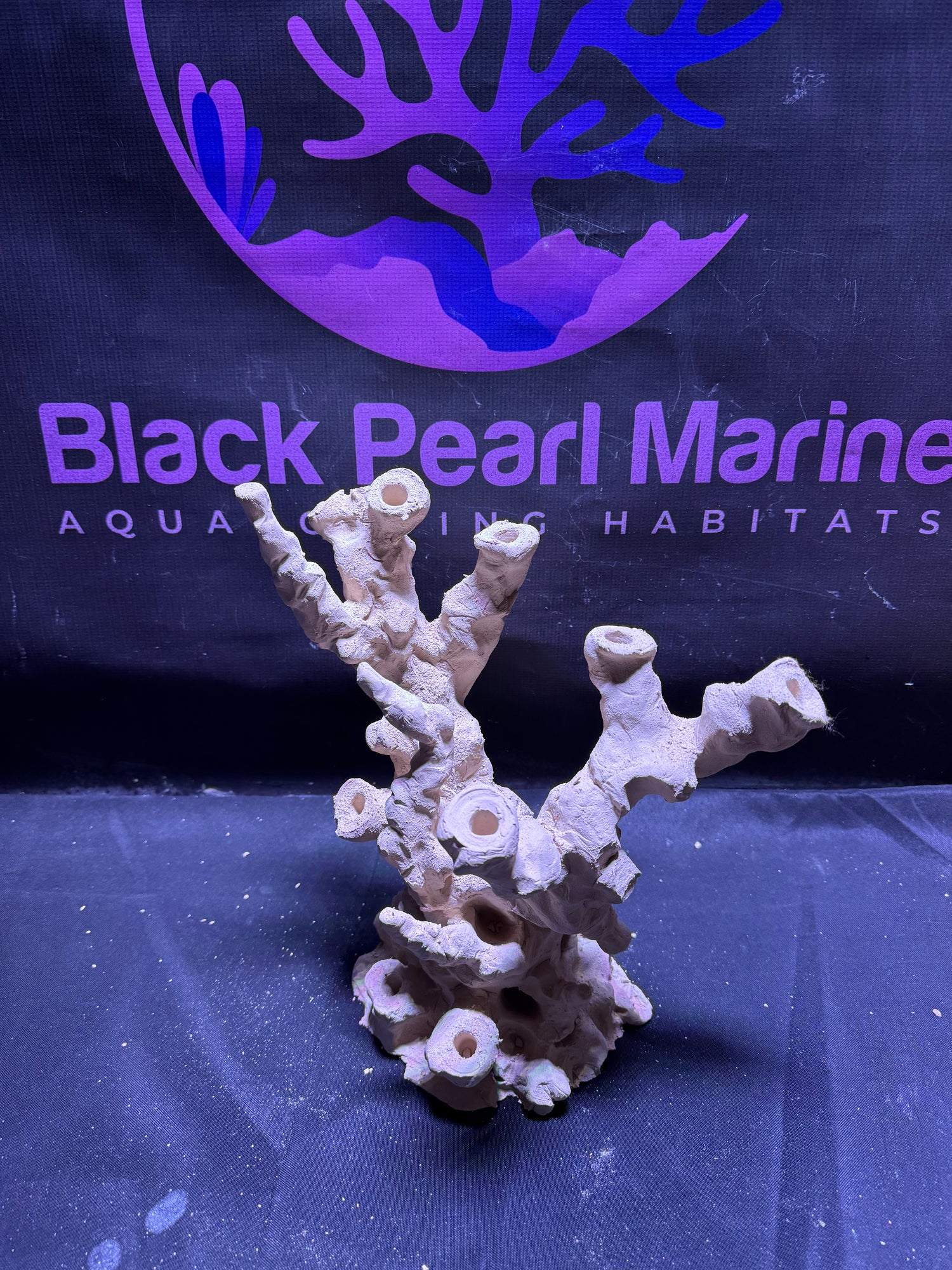 BPM Scape |Frag Pillar (050226) (L28cm/H28cm/D17cm)
