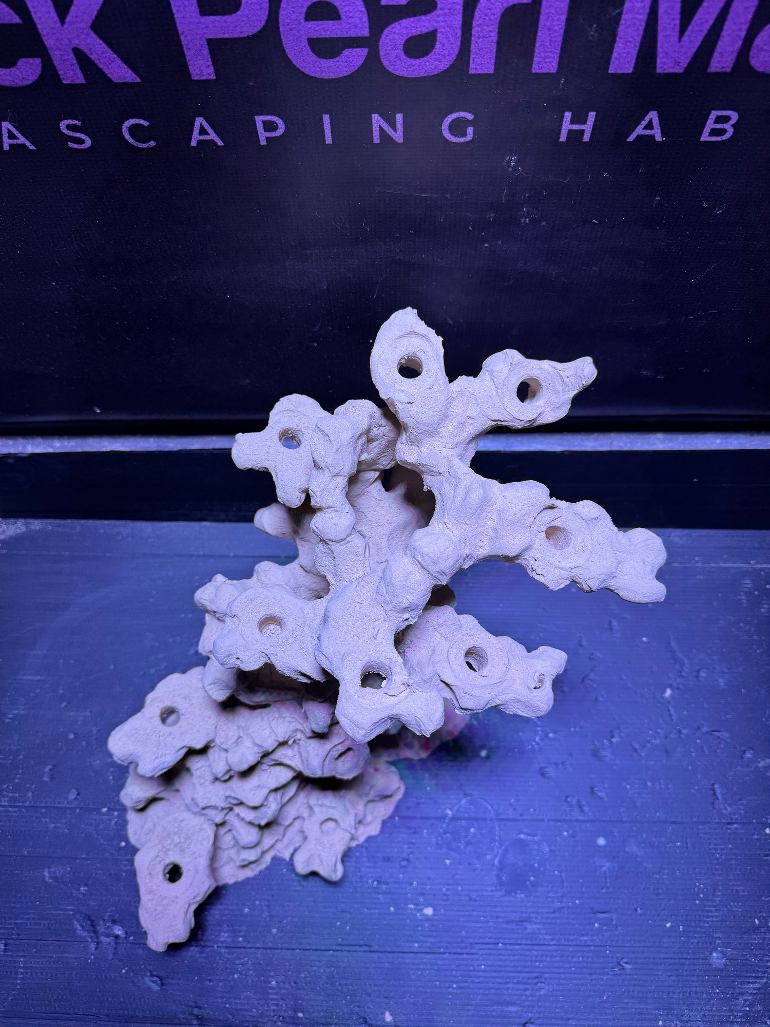 BPM Scape | Nano (L36cm/H29cm/D25cm) 143.143E