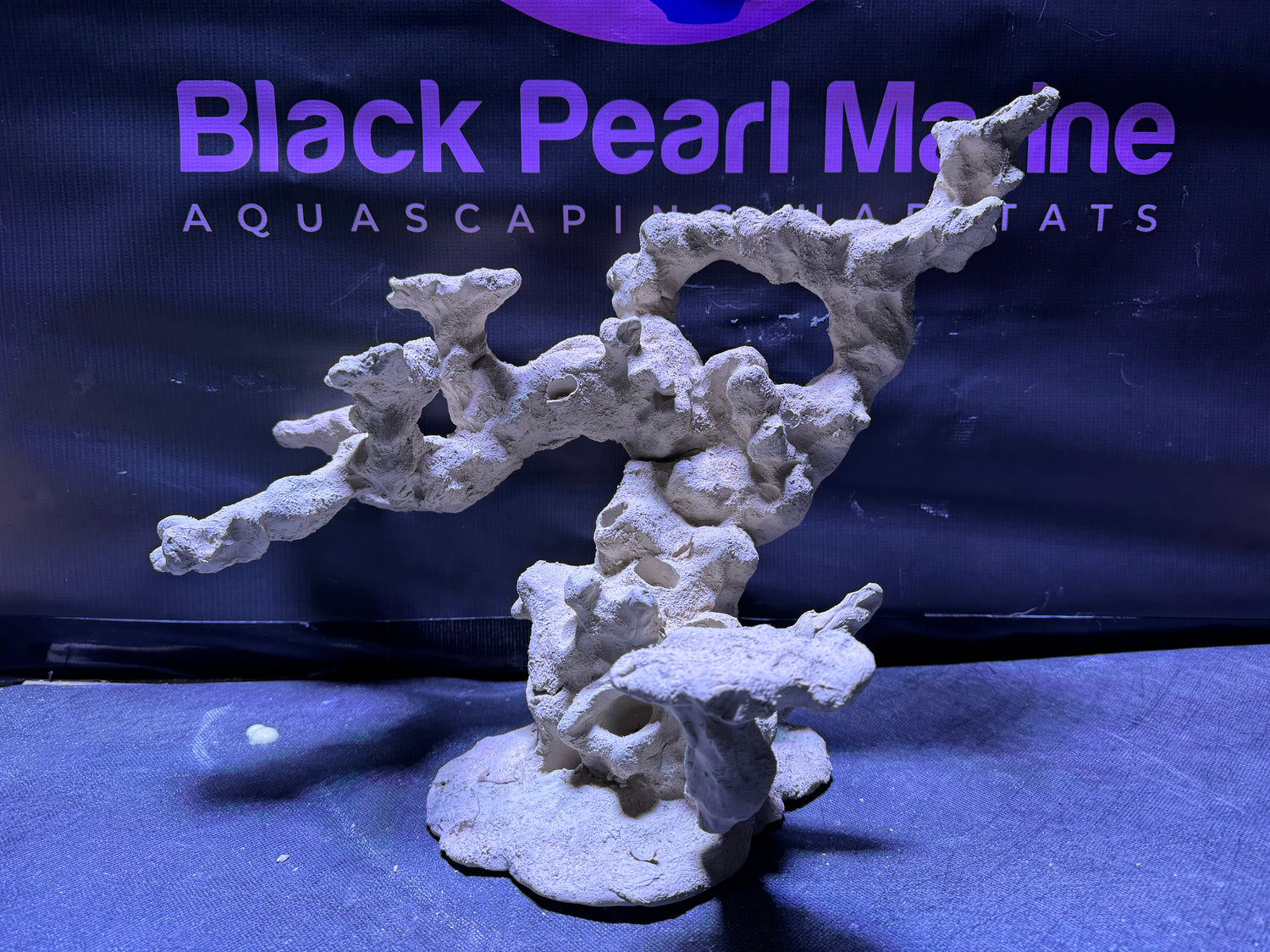 BPM Scape | Floating Overhang