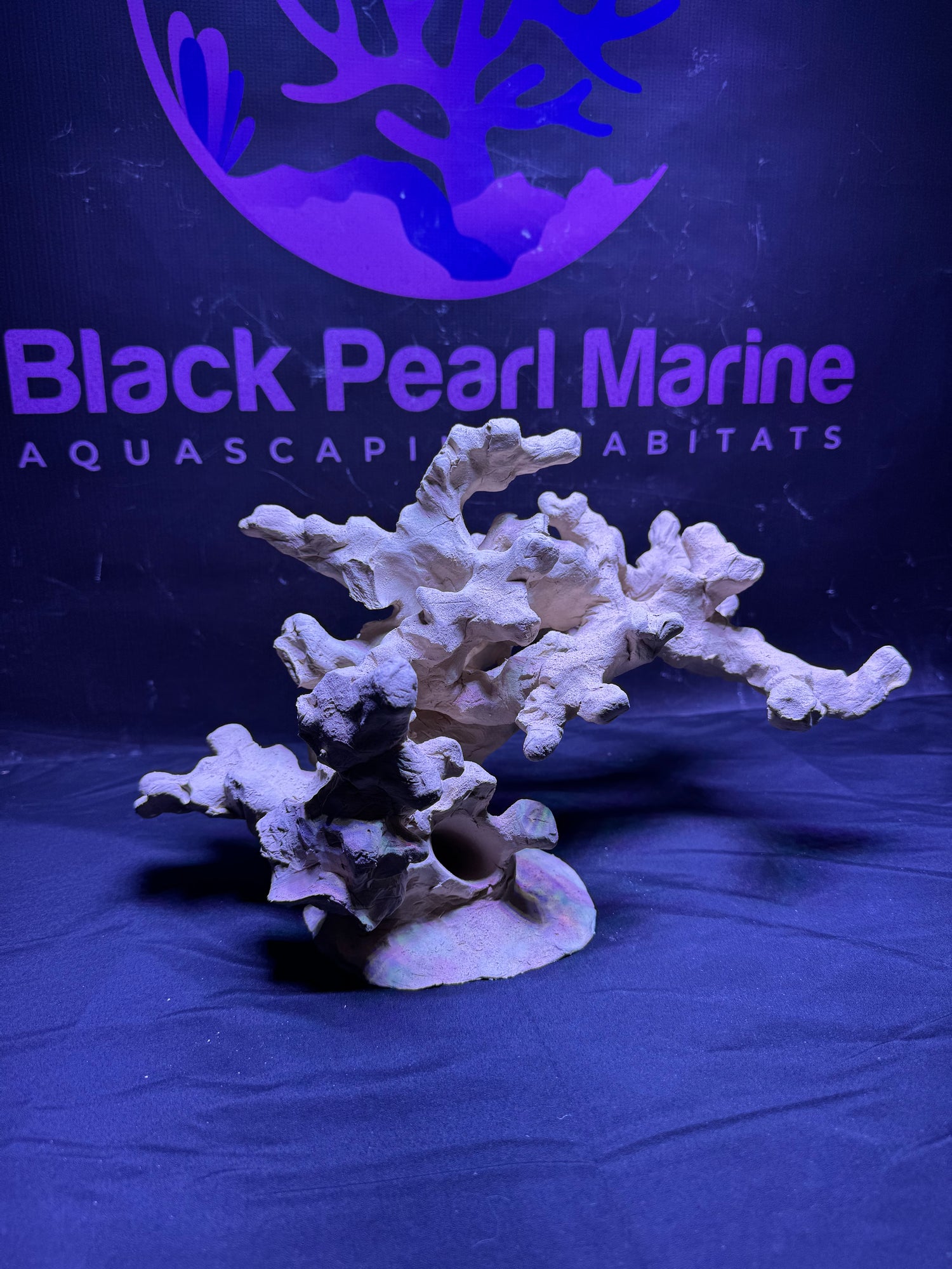 BPM Scape |Nano| #072618 |L35cm | H21cm | D20cm