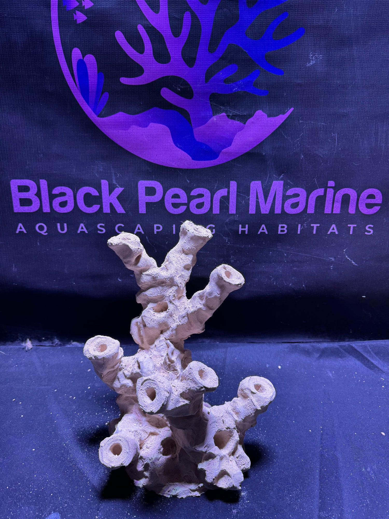 BPM Scape |Frag Stump (080226) (L25cm/H25cm/D23cm)