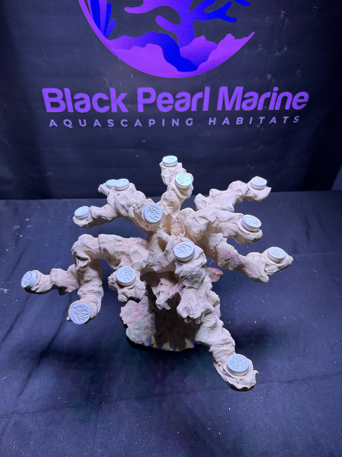BPM Scape | Tunze reef360° + Custom Aquascape