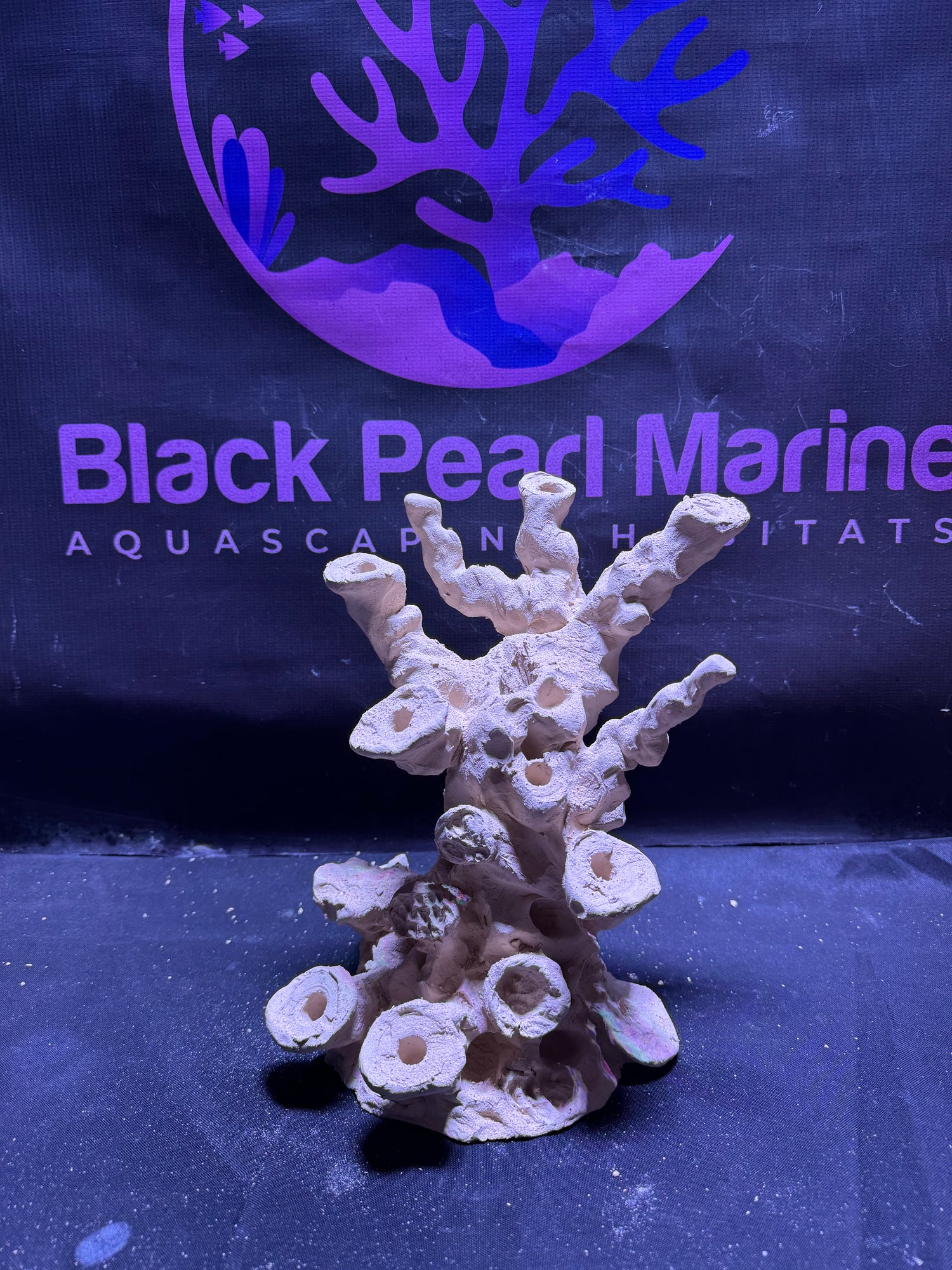 BPM Scape |Frag Stump (090226) (L22cm/H25cm/D23cm)