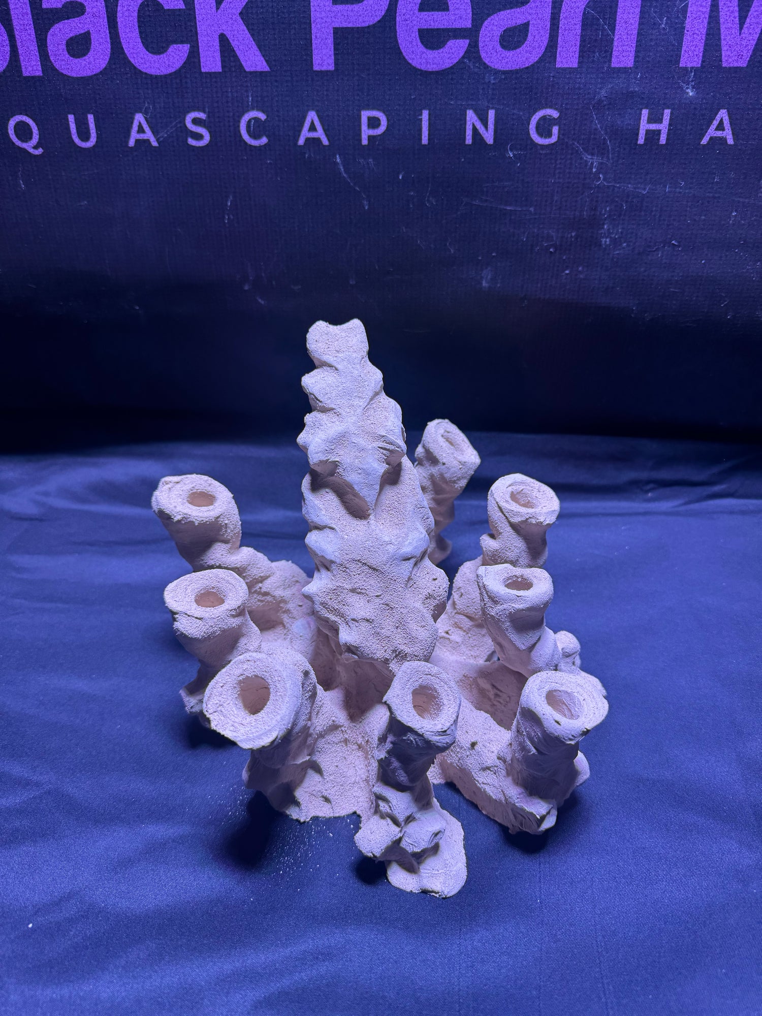 BPM Scape | Frag Octopus Pico | (330226) (L20cm/H16cm/D20cm)