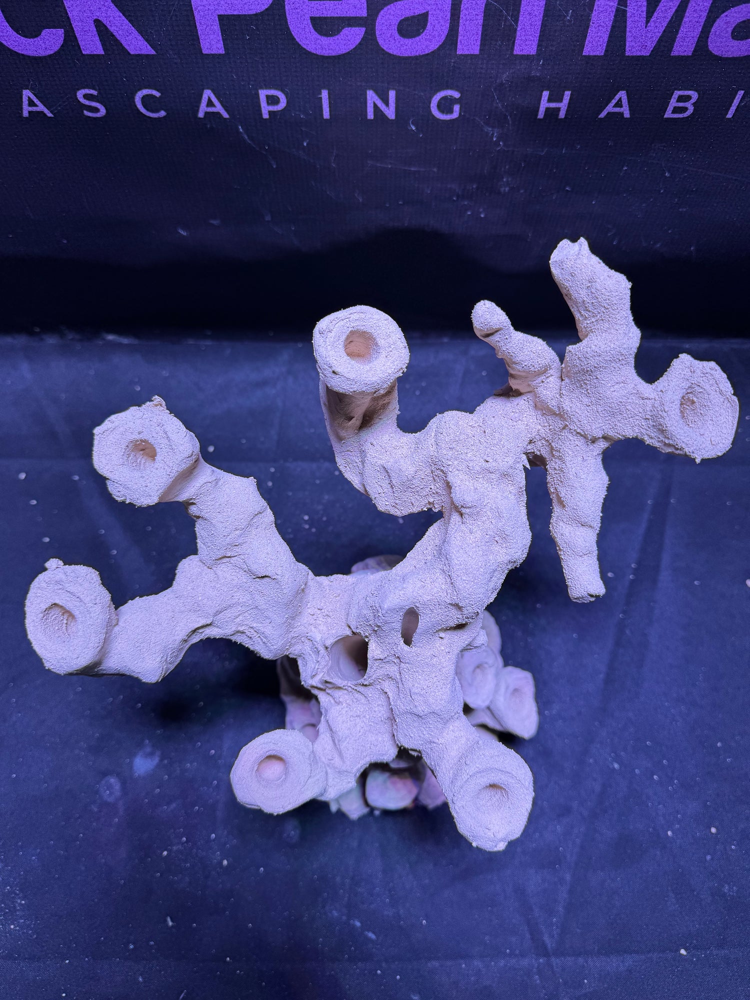 BPM Scape |Frag Pillar  (040226) (L28cm/H27cm/D22cm)