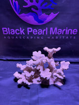 BPM Scape | Nano |  (310226) (L34cm/H19cm/D22cm)