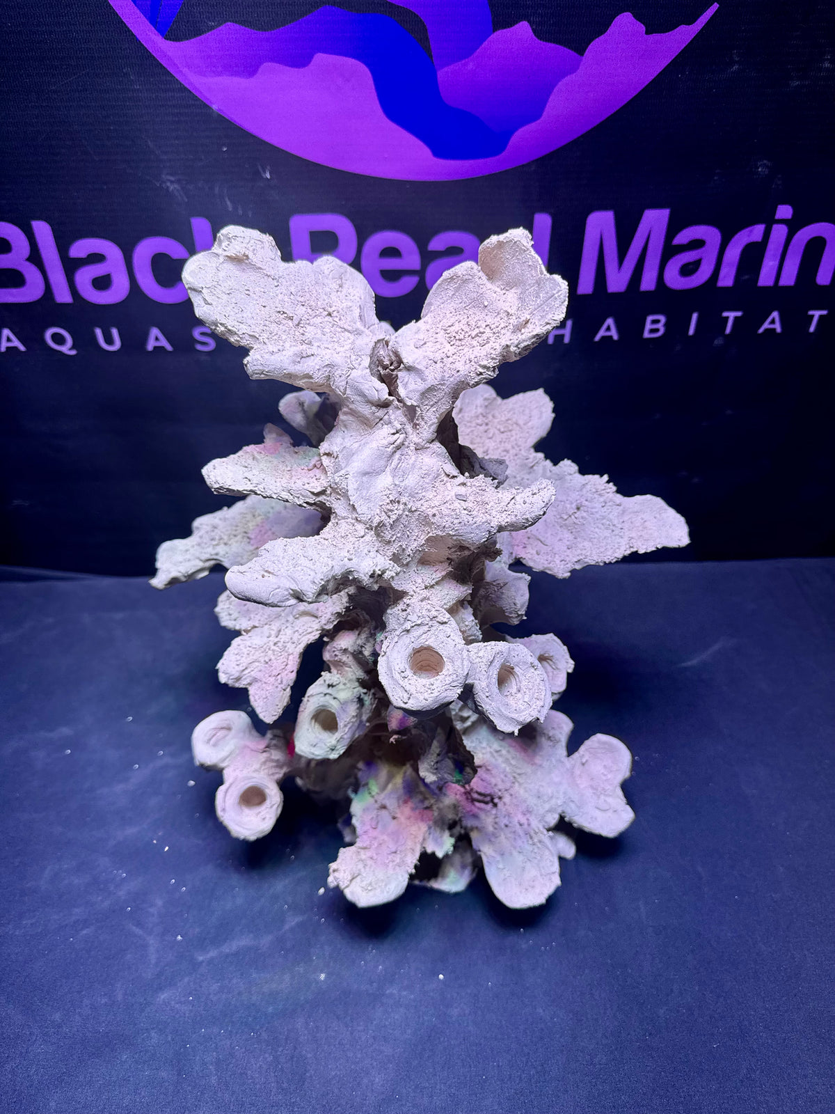 BPM Scape | Nano | #106814 | 33 × 31 × 25 cm