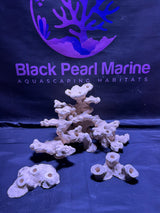 BPM Scape | Nano Frag Set |(290226) (L37cm/H22cm/D24cm)