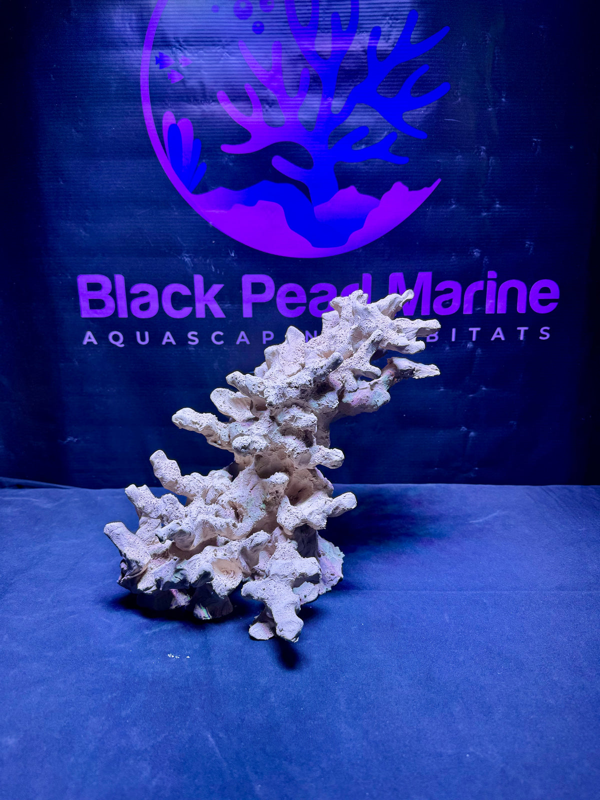 BPM Scape | Nano | #717889 | 31 × 24 × 24 cm