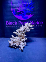 BPM Scape | Nano | #717889 | 31 × 24 × 24 cm