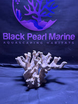 BPM Scape | Nano (260226) |(L31cm/H17cm/D23cm)