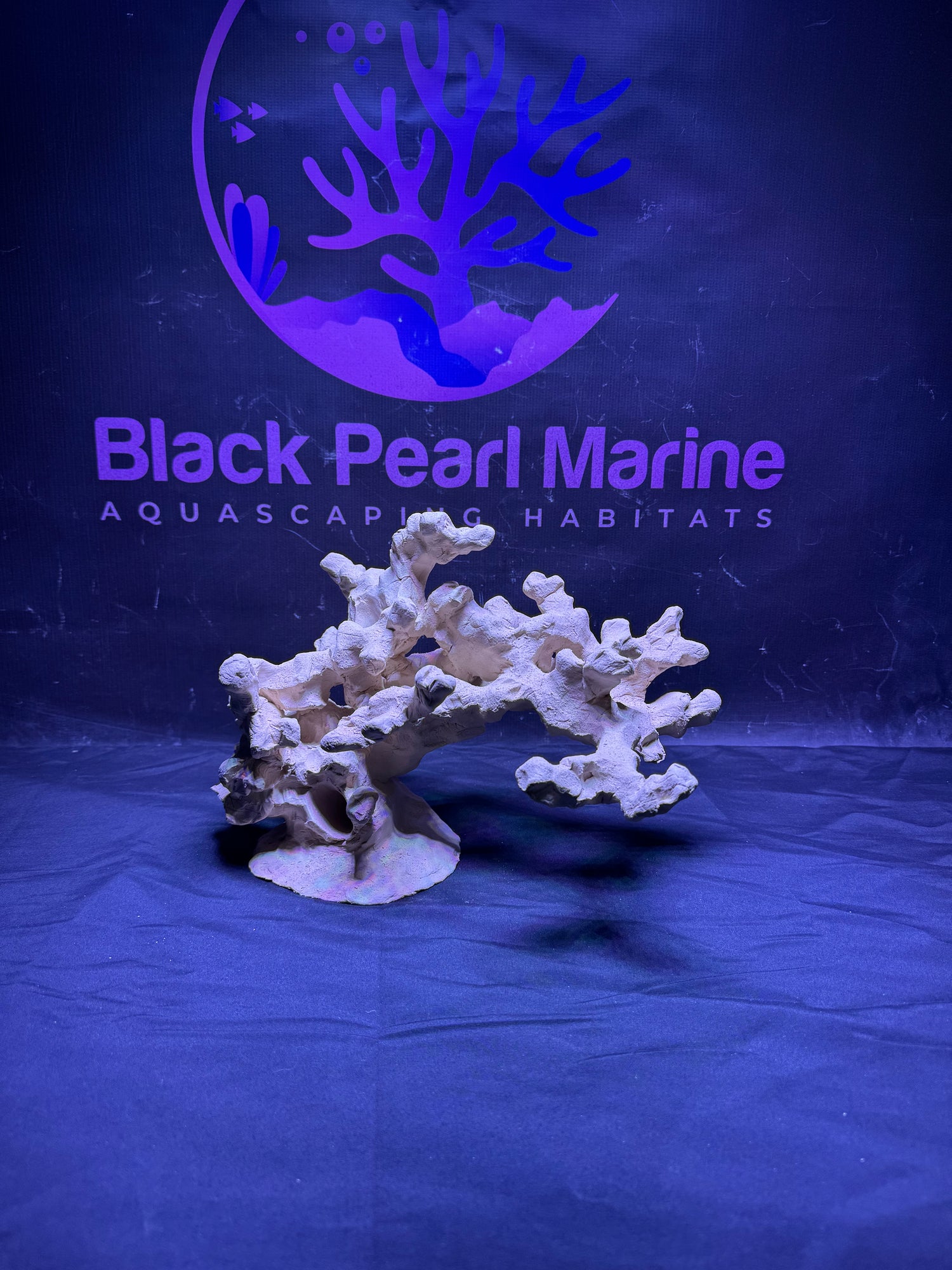 BPM Scape |Nano| #072618 |L35cm | H21cm | D20cm