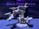 BPM Scape | Floating Overhang