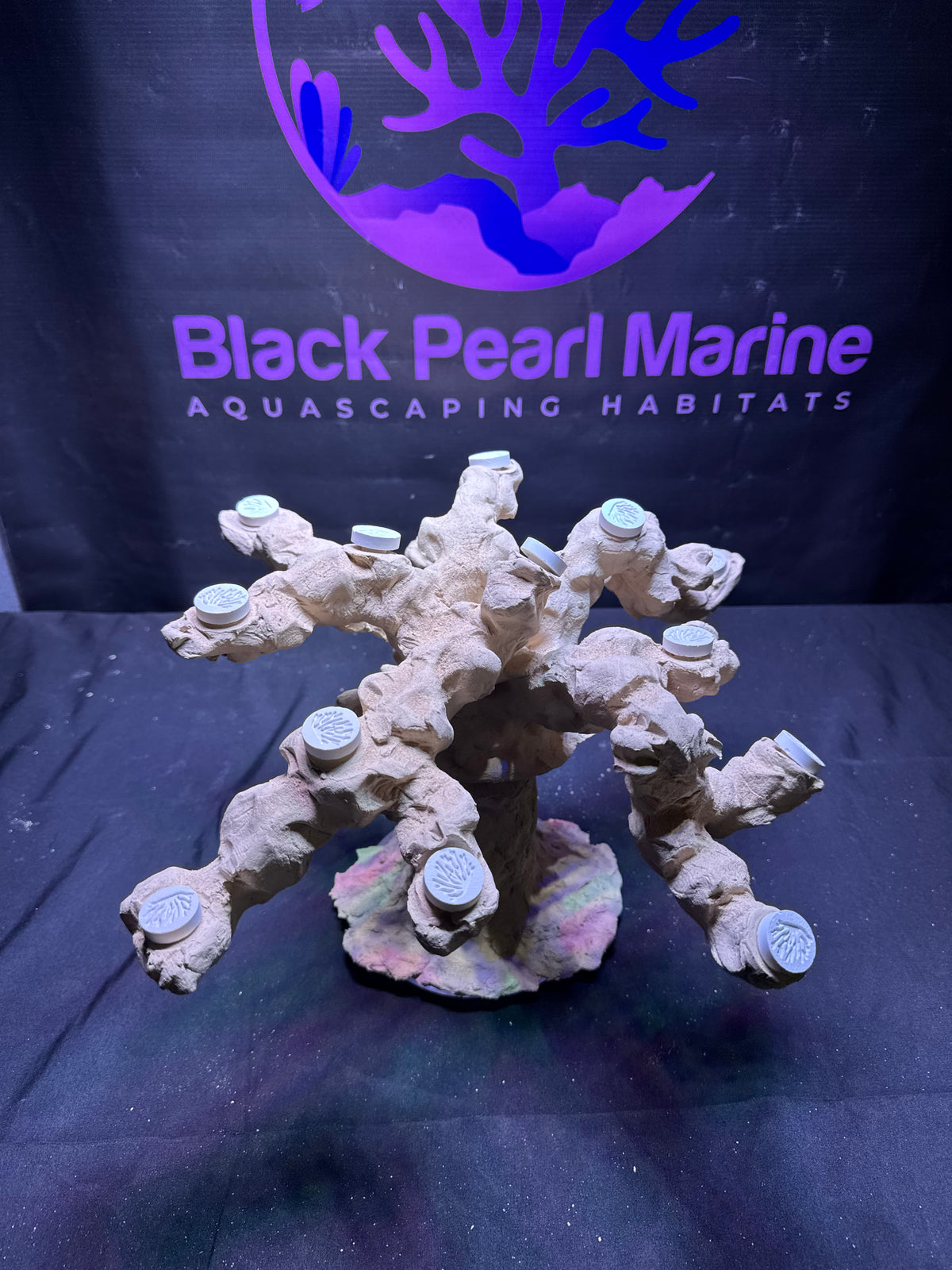 BPM Scape | Tunze reef360° + Custom Aquascape