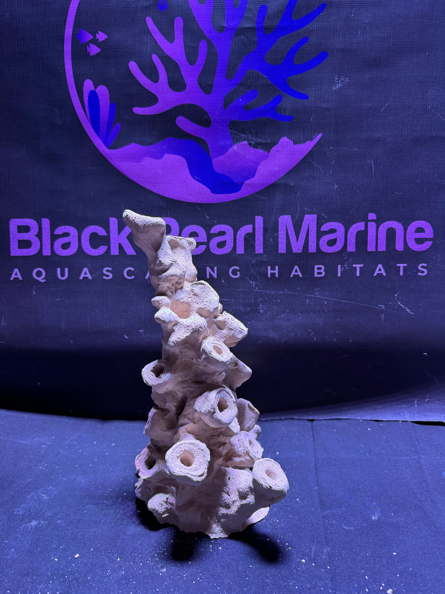 BPM Scape |Frag Pillar (141225) (L21cm/H29cm/D17cm)