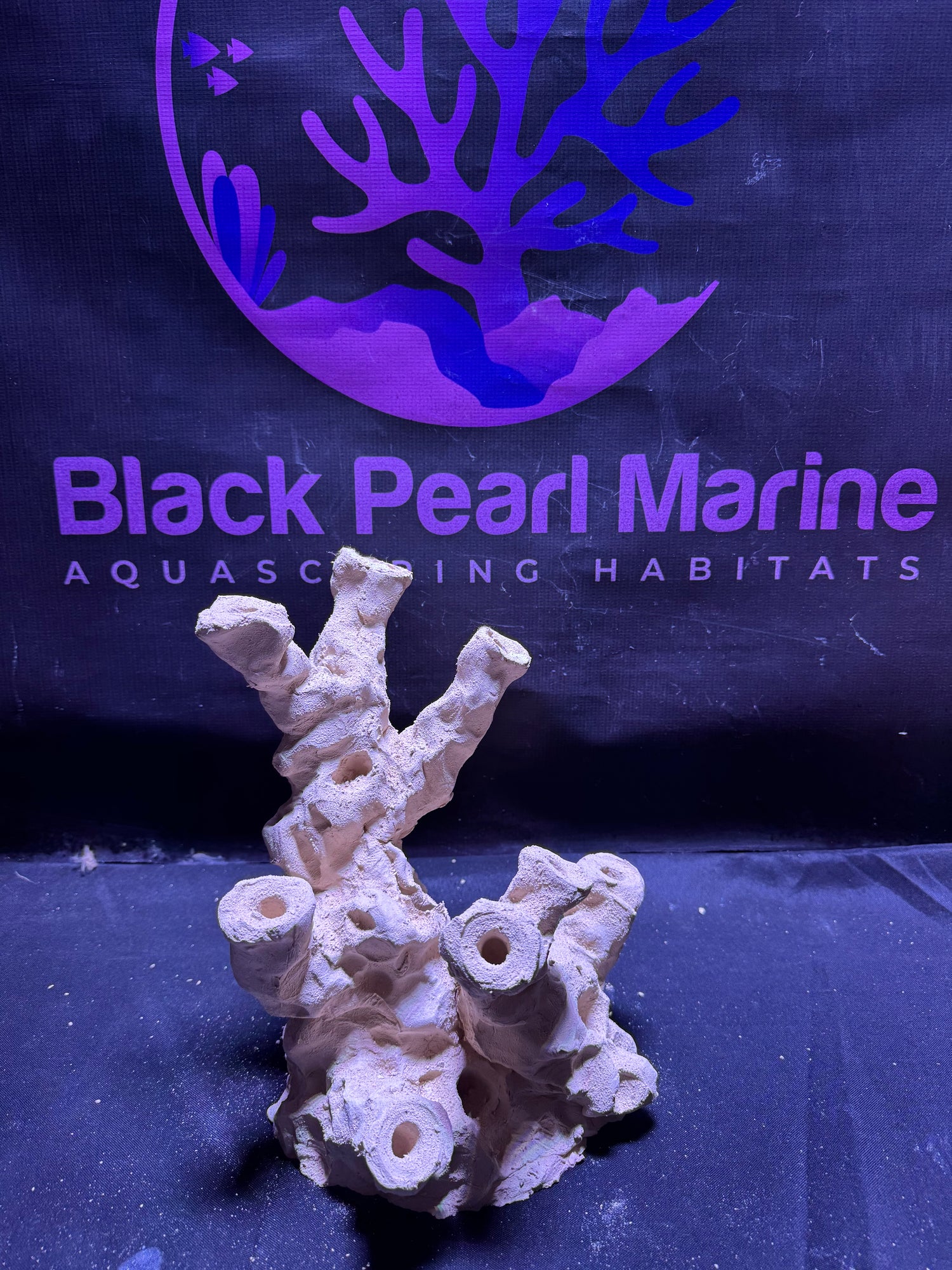 BPM Scape |Frag Stump (080226) (L25cm/H25cm/D23cm)