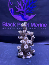 BPM Scape |Frag Pillar (161225) (L17cm/H30cm/D16cm)