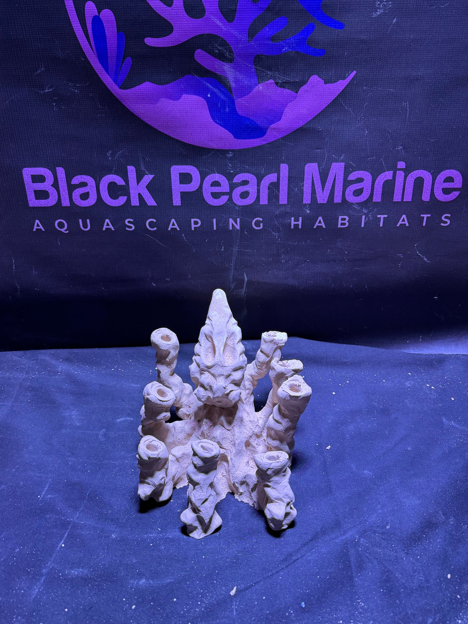 BPM Scape | Pico Octo Frag | #520326 | L22cm | H16cm | D23cm