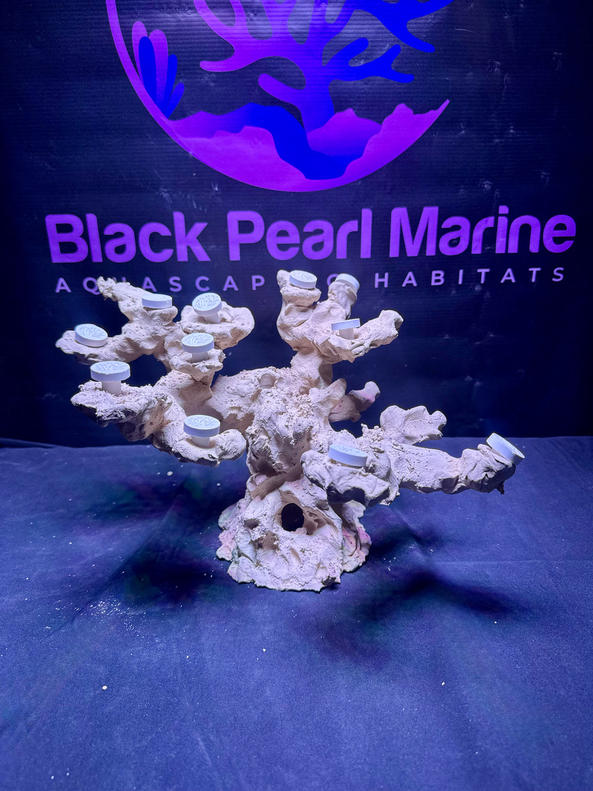 BPM Scape | Nano | #850800 | 29 × 21 × 28 cm