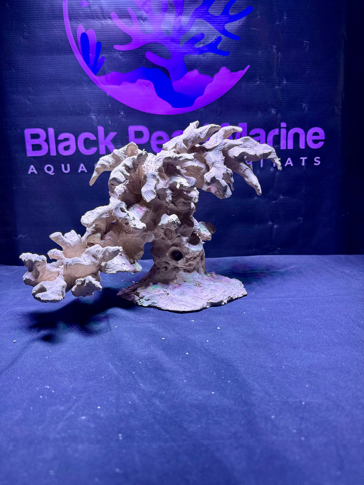 BPM Scape | Nano | #267414 | 37 × 24 × 22 cm