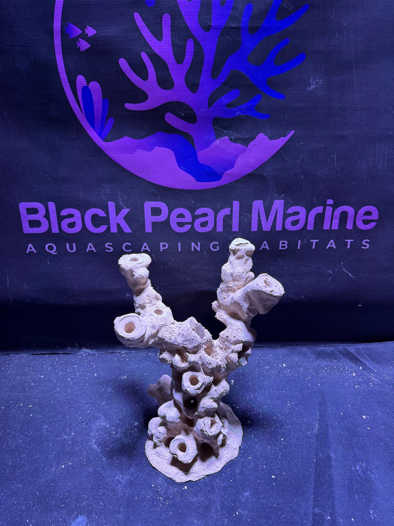 BPM Scape | Frag Pillar (140226) |(L24cm/H26cm/D16cm)