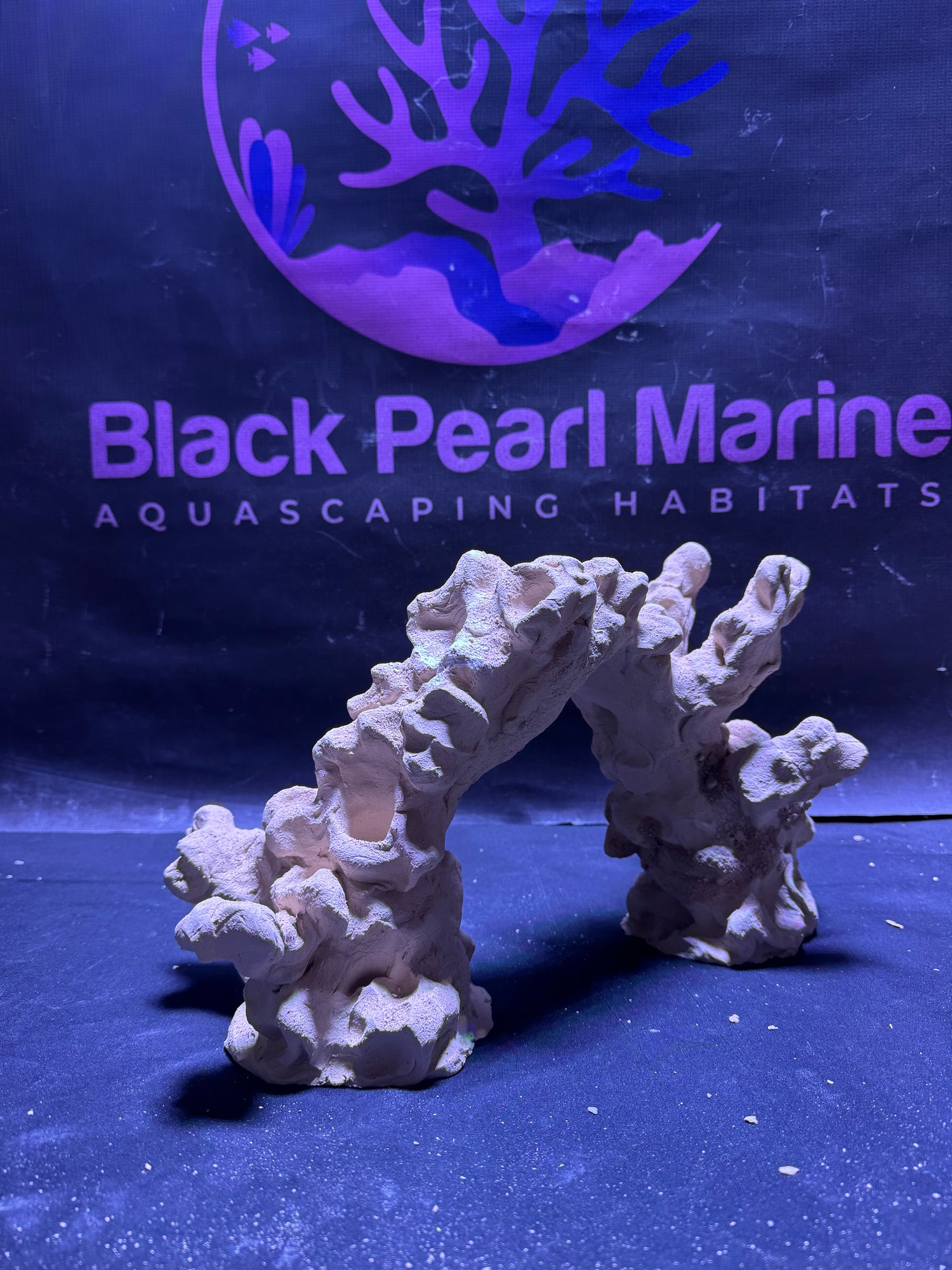 BPM Scape | Nano Arch| #070526 | L35cm | H20cm| D19cm