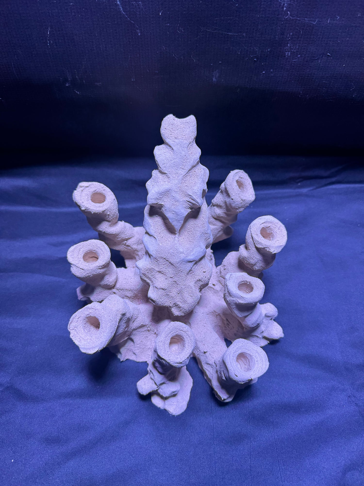 BPM Scape | Frag Octopus Pico | (330226) (L20cm/H16cm/D20cm)
