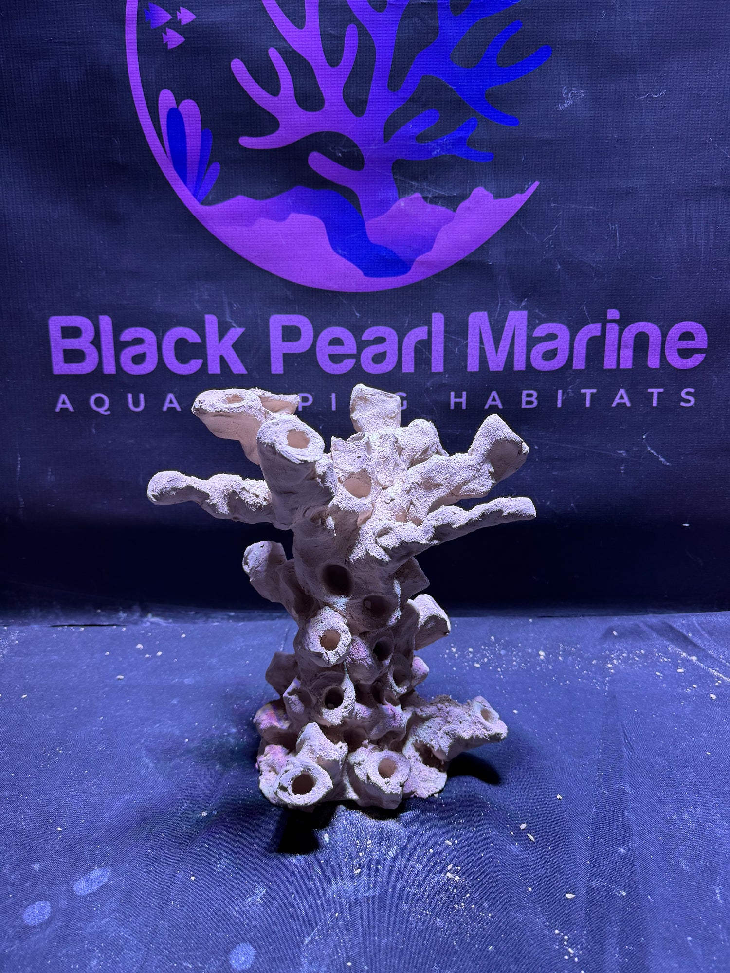 BPM Scape | Frag Stump | (180226) (L26cm/H27cm/D22cm)