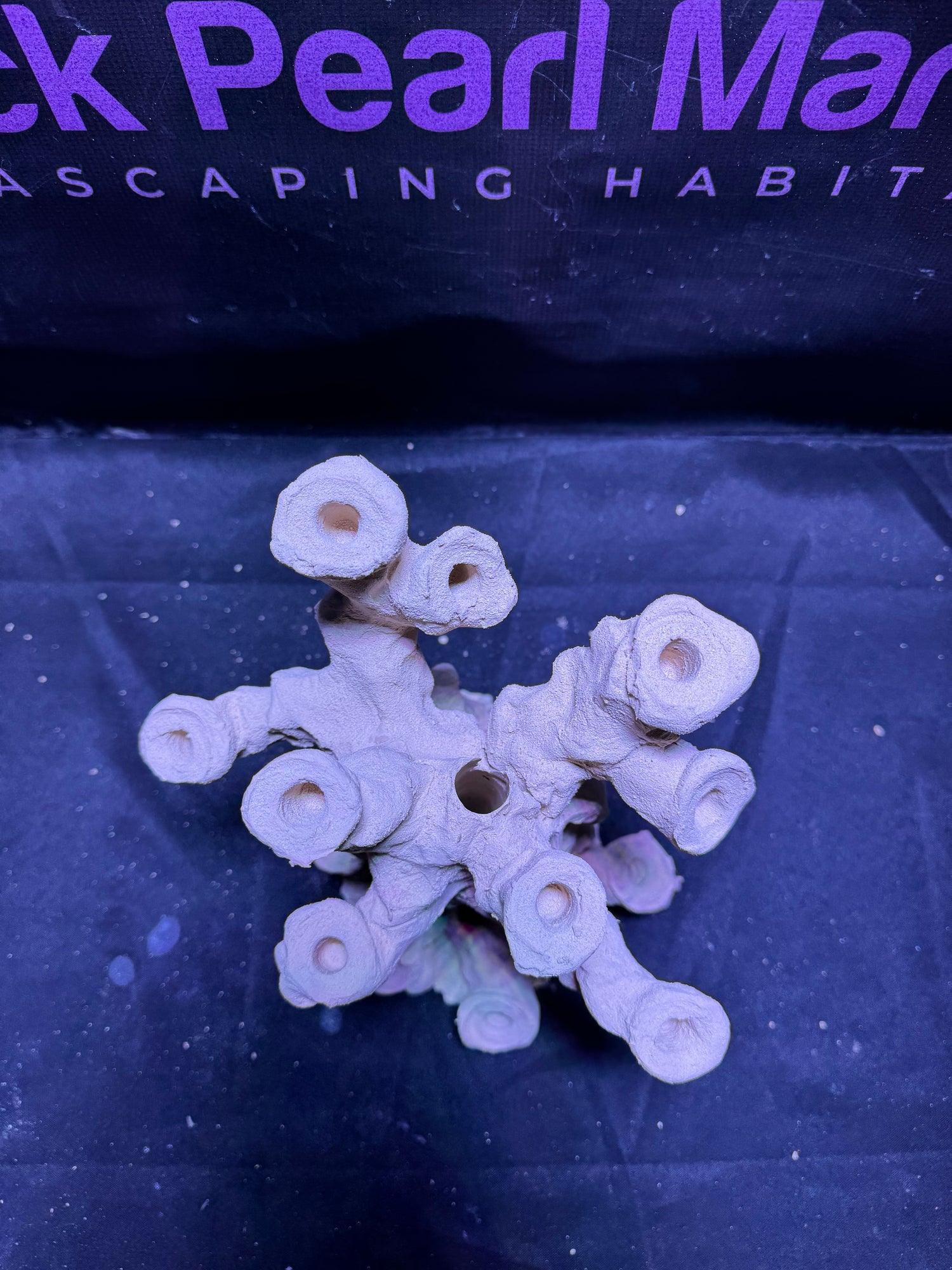 BPM Scape |Frag Pillar (060226) (L26cm/H28cm/D22cm)