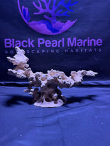 BPM Scape |Nano (250226) |(L38cm/H23cm/D14cm)