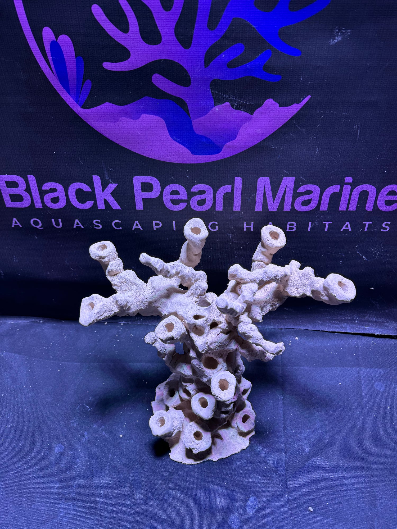 BPM Scape |Frag Pillar (081225) (L35cm/H28cm/D22cm)
