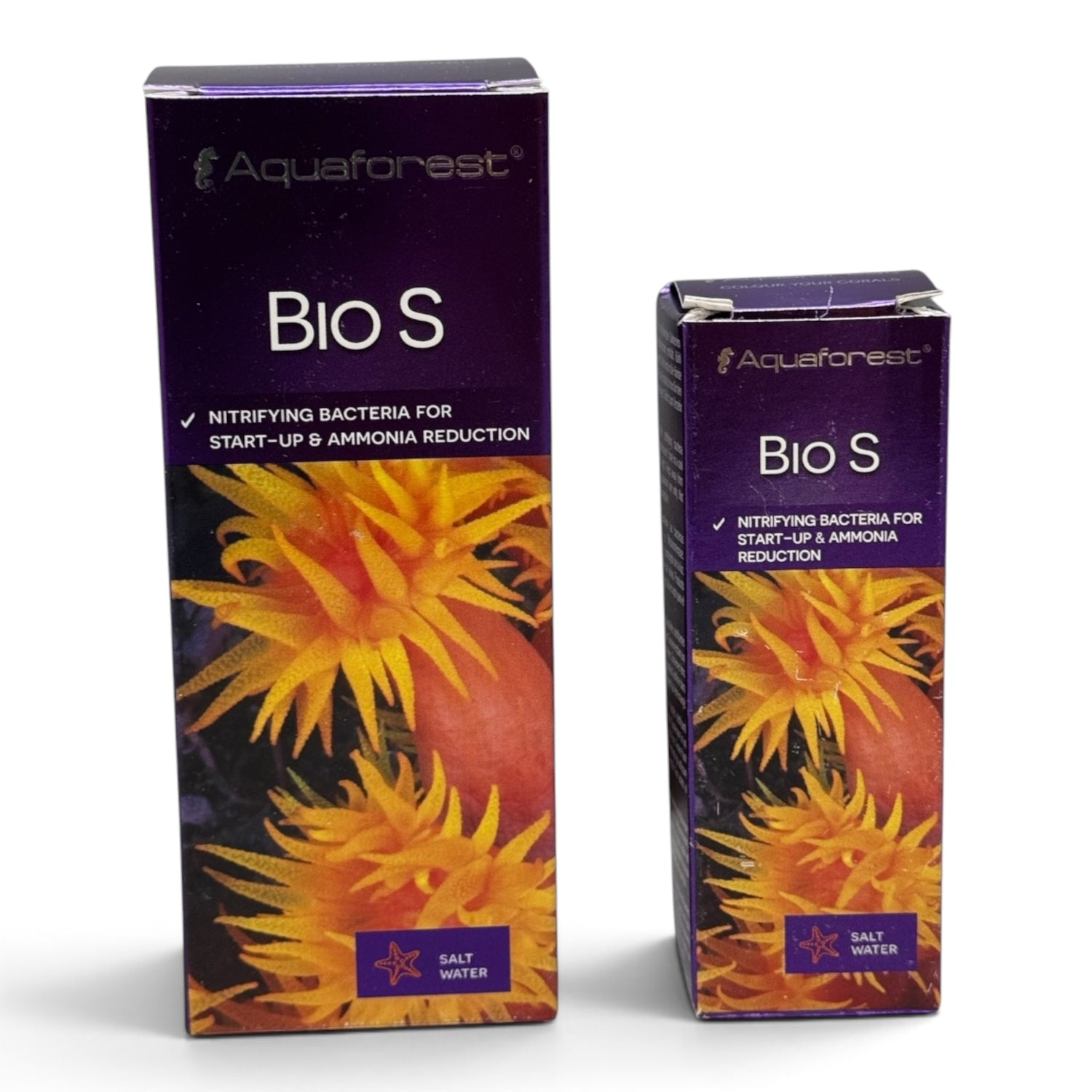 Bio S Nitrifying bacteria to boost maturation. Contains specially selected bacterial strains.