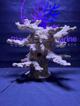 BPM Scape | Meso | #900581 | 40 × 37 × 29 cm