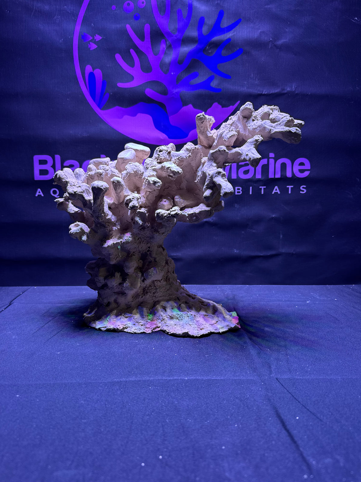 BPM Scape