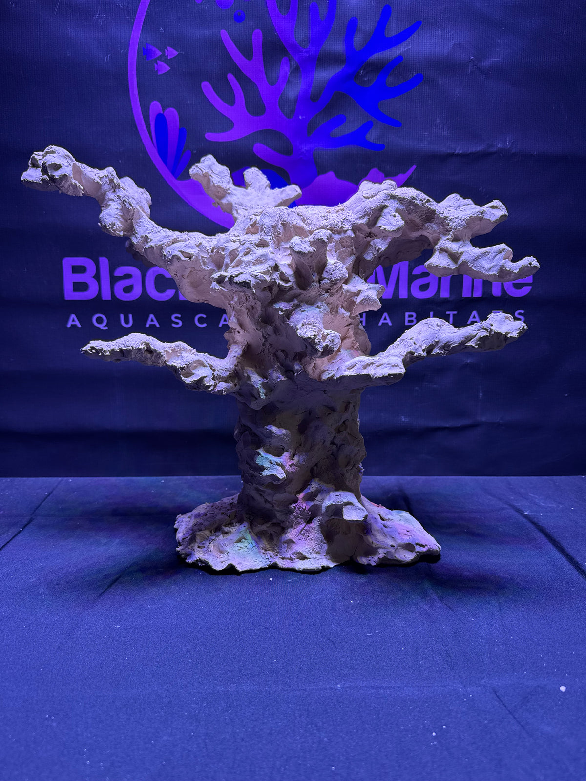 BPM Scape