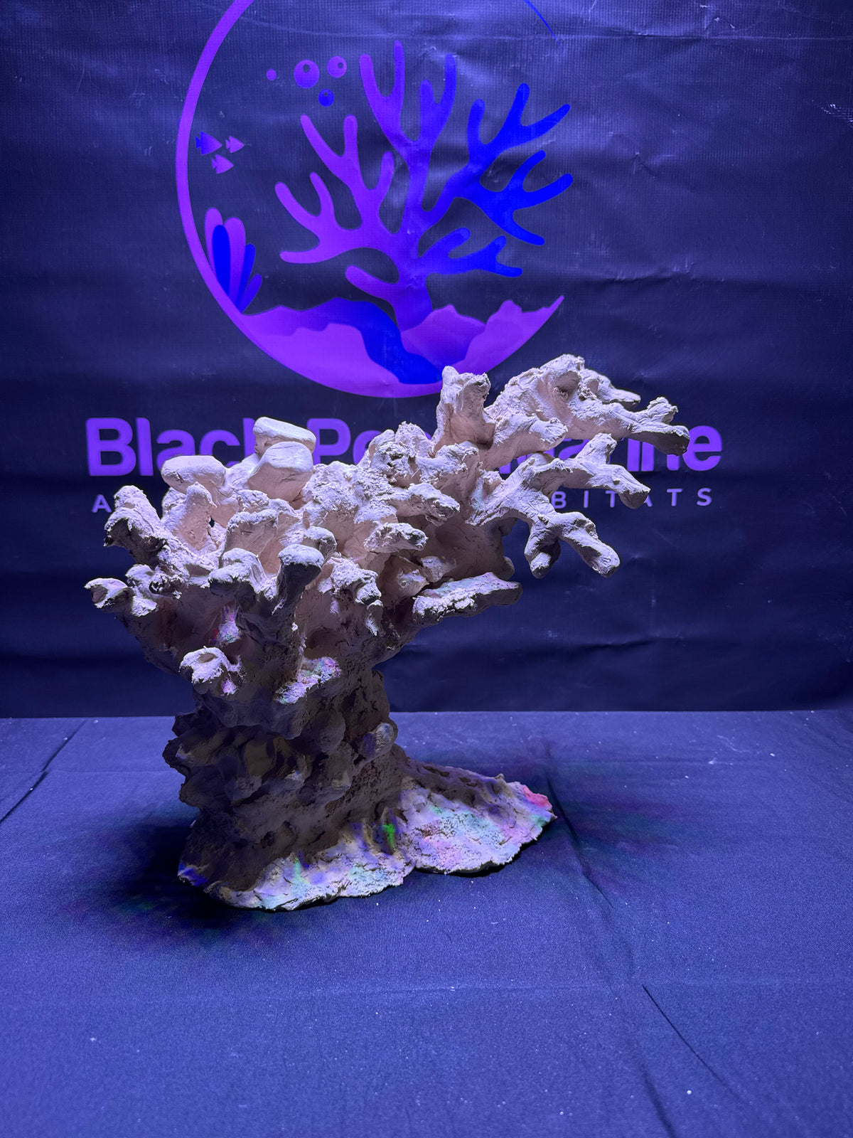 BPM Scape
