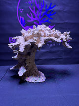 BPM Scape | Meso | #263032 | 47 × 35 × 28 cm