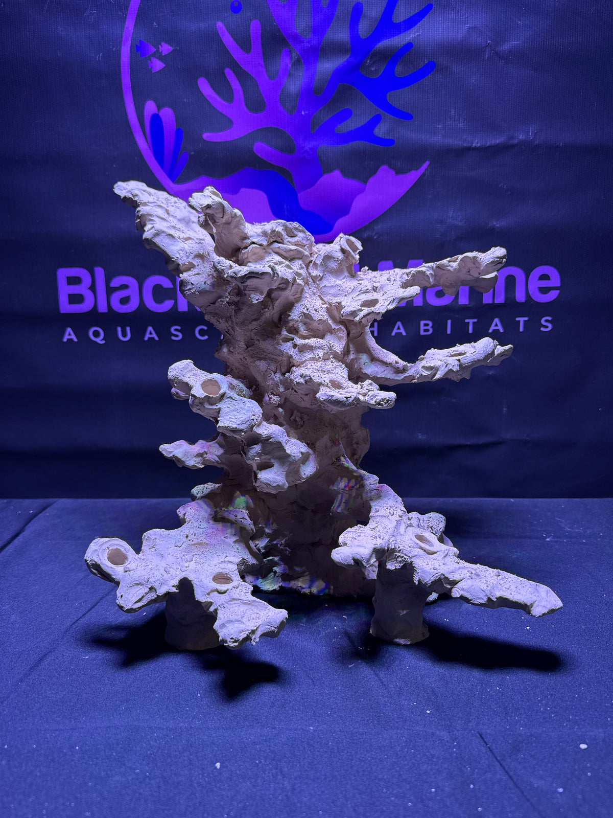 BPM Scape